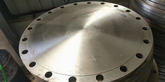 O pescoço da solda de 72 polegadas levantou a prova da oxidação da flange 310S 316LN 317L da cara lubrificada
