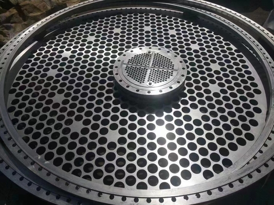 O pescoço da solda de 72 polegadas levantou a prova da oxidação da flange 310S 316LN 317L da cara lubrificada