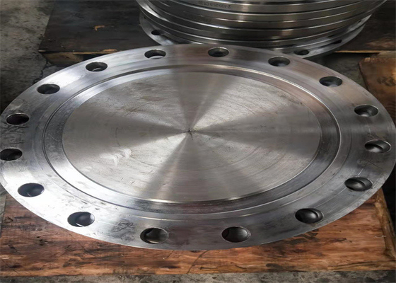 Flange de aço inoxidável 10k RF FF DN25 DN40 da placa 316l 24 flanges cegas da polegada